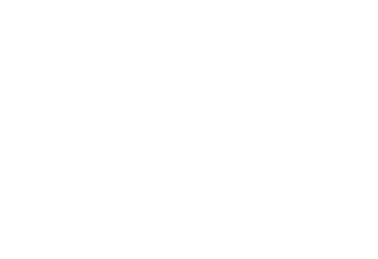 Logo ALYSE PARC AUTO